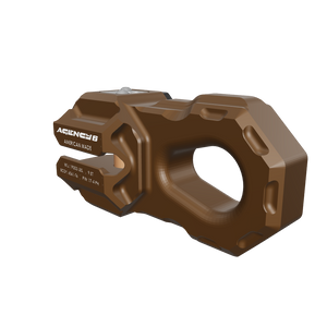 bronze shackle
