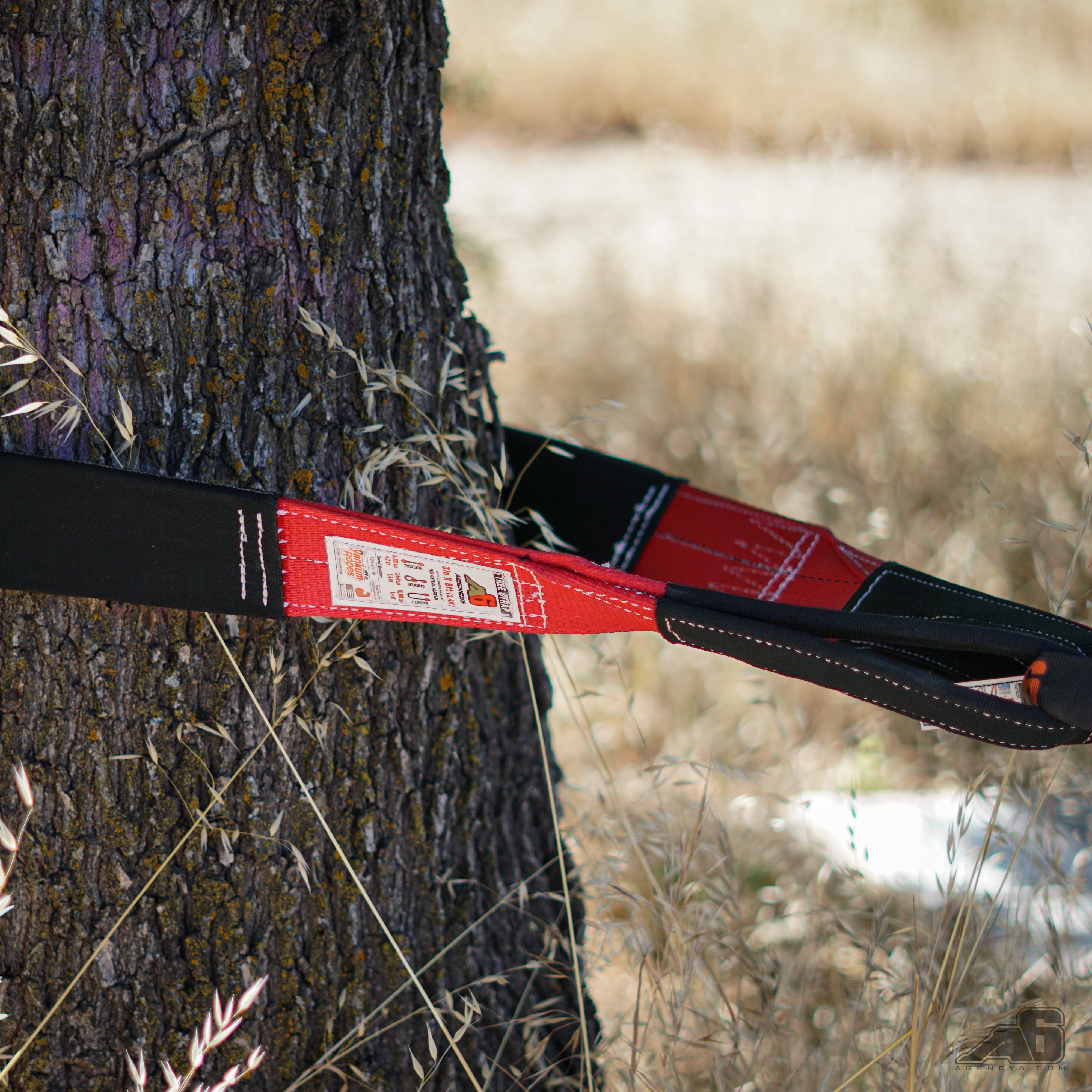 Heavy-Duty Tree Strap 3